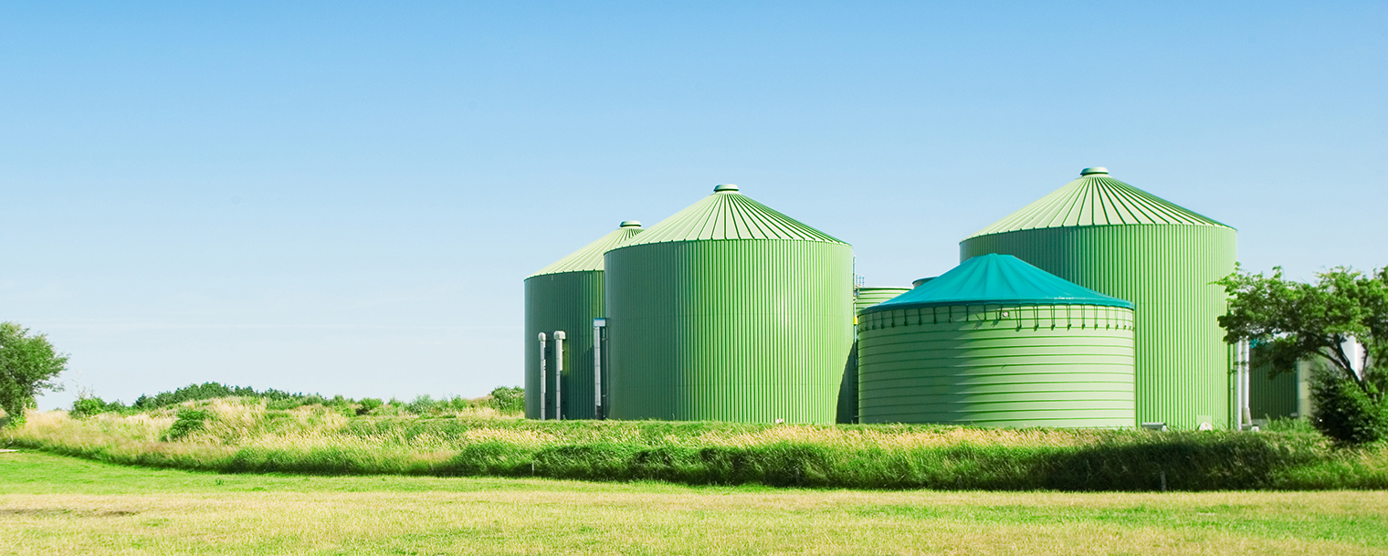 Biogasanlæg