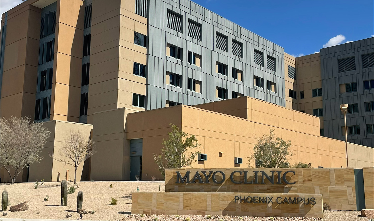Mayo Clinic Phoenix Teaser Image